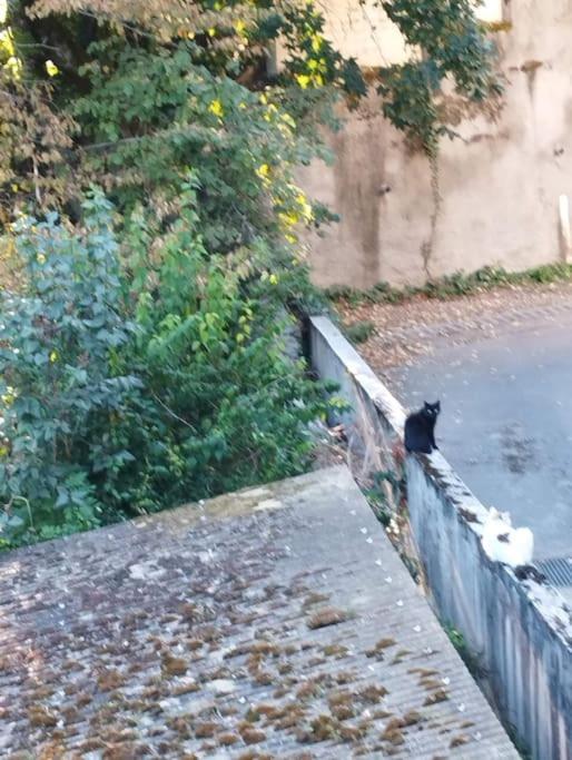 Le Grand Montjoux Daire Besançon Dış mekan fotoğraf